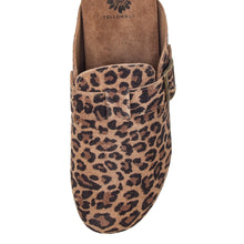 Shoe - Leopard Clog