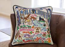 Pillow- Texas Hill Country